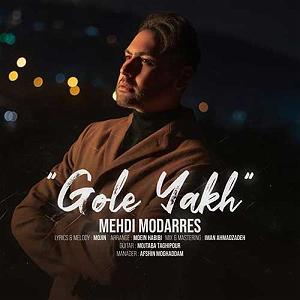 مهدی مدرس گل یخ