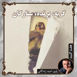 آرامش در زیر ستارگان 