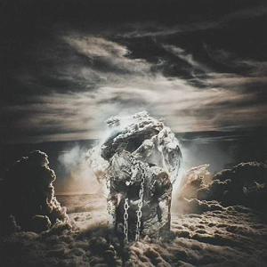 انسان انسان