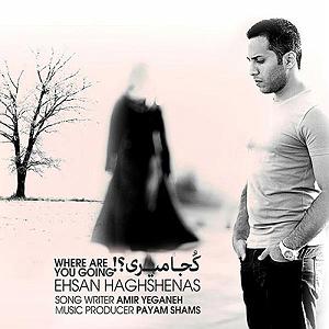 تولدتان مبارک آقای حق شناس کجا میری