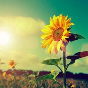 تابستان تابستان