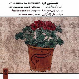 آلبوم همنشین درد دونوازی تر و نهی