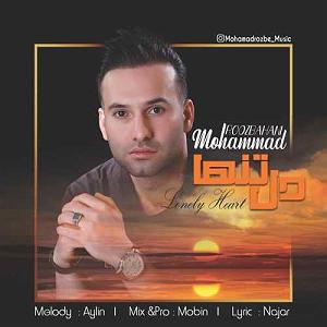 محمد معتمدی  دل تنها دل تنها