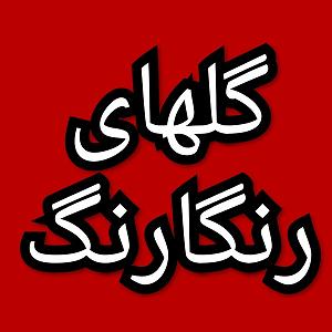 42 برنامه بستنی داغ  ویژگی های مثبت اندیش گلهای رنگارنگ برنامه شماره ۴۲۱