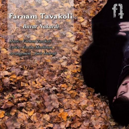  متن آهنگ فرنام توکلی باور نکردی 
