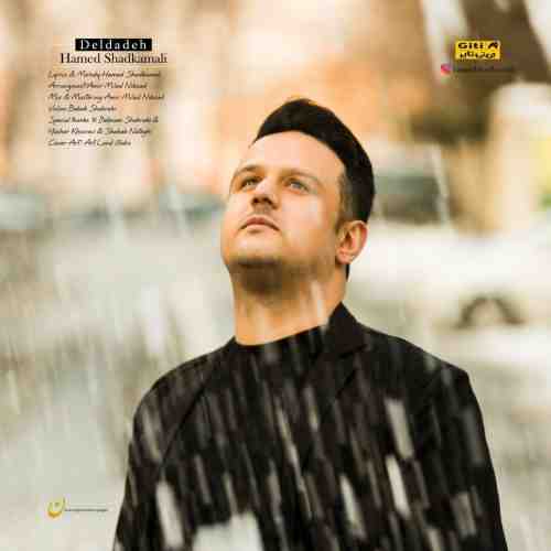  متن آهنگ حامد شادکمالی دلداده 
