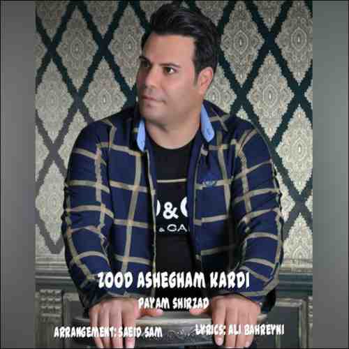  متن آهنگ پیام شیرزاد زود عاشقم کردی 
