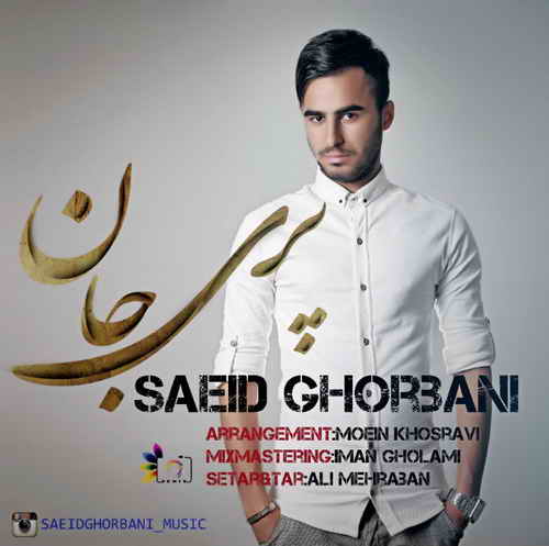 آهنگ جدید سعید قربانی به نام پری جان 
