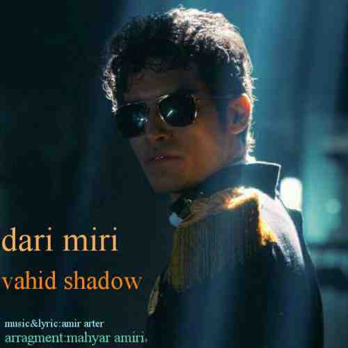  متن آهنگ وحید شادو داری میری 
